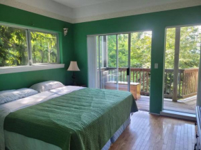 rainforest suit with a king size bed